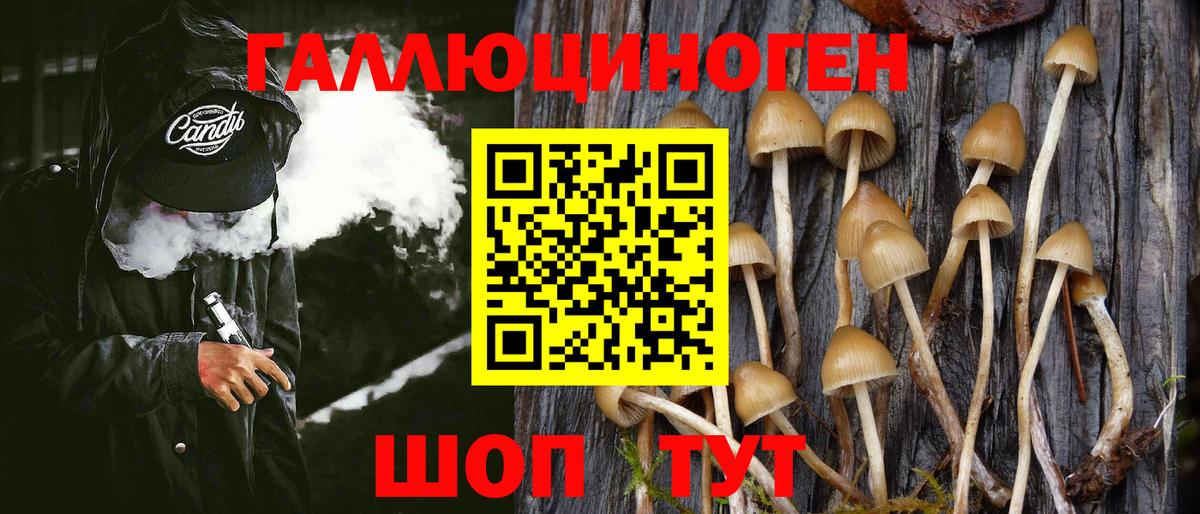 Псилоцибиновые грибы ЛСД Биробиджан